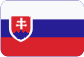 SKF bearings Slovensky